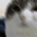 OhTheMiseryEverybodyWantsToBeMyEnemySpareTheSympathyEverybodyWan emote