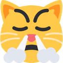 triumph_cat emote