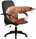 postureCheck emote