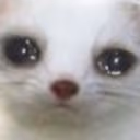 sadferret emote