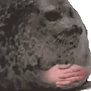 sealWaiting emoji