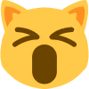 Cat_Exicted emote