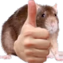ratOk emote