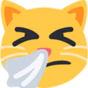 sneezingCat emote