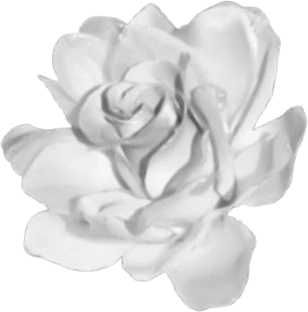 goth_rose emote