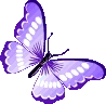purplebutterfly emoji