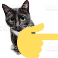 pointingrightcat emote