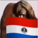 Paraguay emote