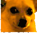 awkJam emote