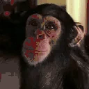 monkeSmile emote