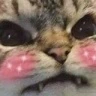 CE_AngeryBlush emote