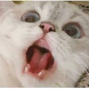 lachryphagous avatar
