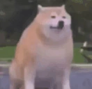 bye emote
