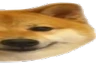 doge2 emote