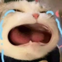 WAAAA emote