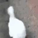 Silly emote
