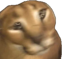shakingfloppa emoji