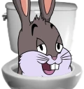 skibidiChungus emote