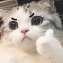 CE_AngerYes emote