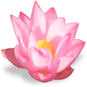 flower_lotus emote