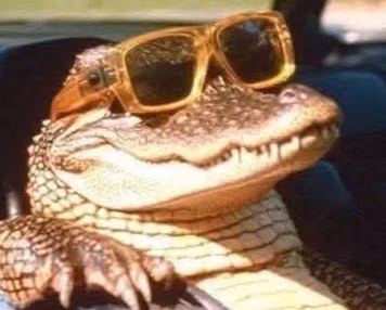 LaterAlligator emote