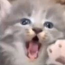 CE_SCREAMMMMMM3 emote