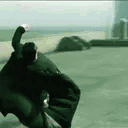 Dodge animated emote