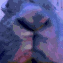 rabbitJAM emote