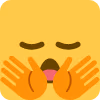 Im_Going_To_Stop_You_Right_There emote