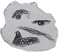 Thonk_Sketch emote