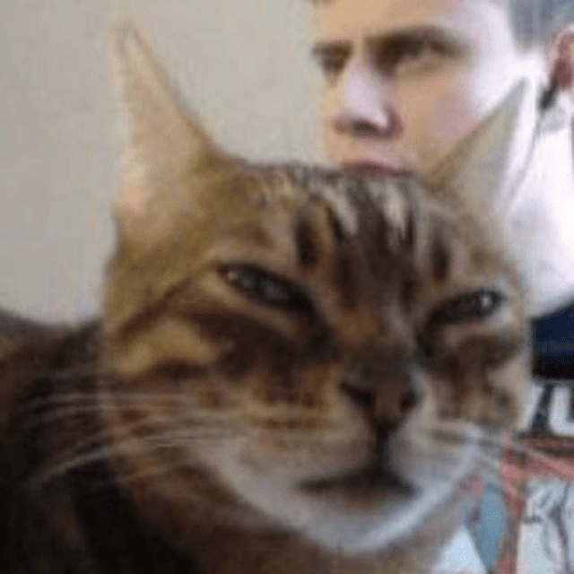 freyaWZR02 emote