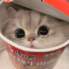 Meow emote