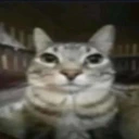 Nutz emote