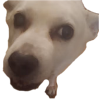 Menacing_dog emote