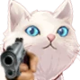 DGF_CatGun emote
