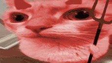 uuh emote