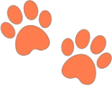 orange_paw_prints emote