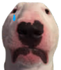 WalterSad emote