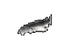 JoelPanic emote