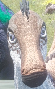 LurdChild emote