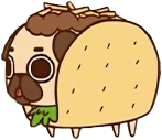 taco_dog emote