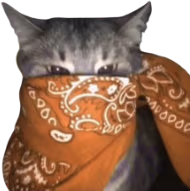 orange_bandana_cat emote