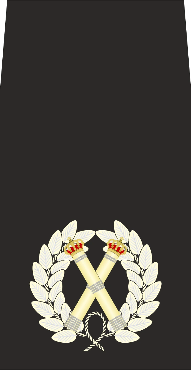 ACC emote