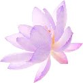 purple_flower emote