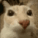dosecrazy animated emote