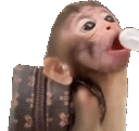 slorp animated emote