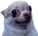 ratdog emote