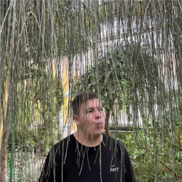 rybnicek avatar