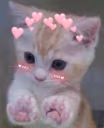 AmoreLapki emote