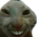 Gatojiji emote